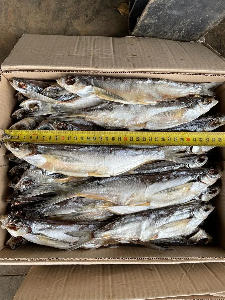 рыба вяленая от производителя в Рыбинске 5