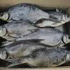 рыба вяленая от производителя в Рыбинске 9