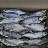 рыба вяленая от производителя в Рыбинске 7