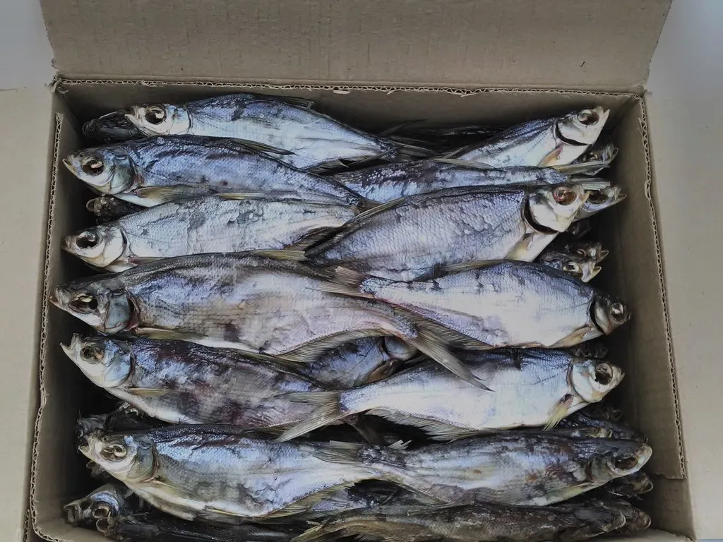 рыба вяленая от производителя в Рыбинске 7